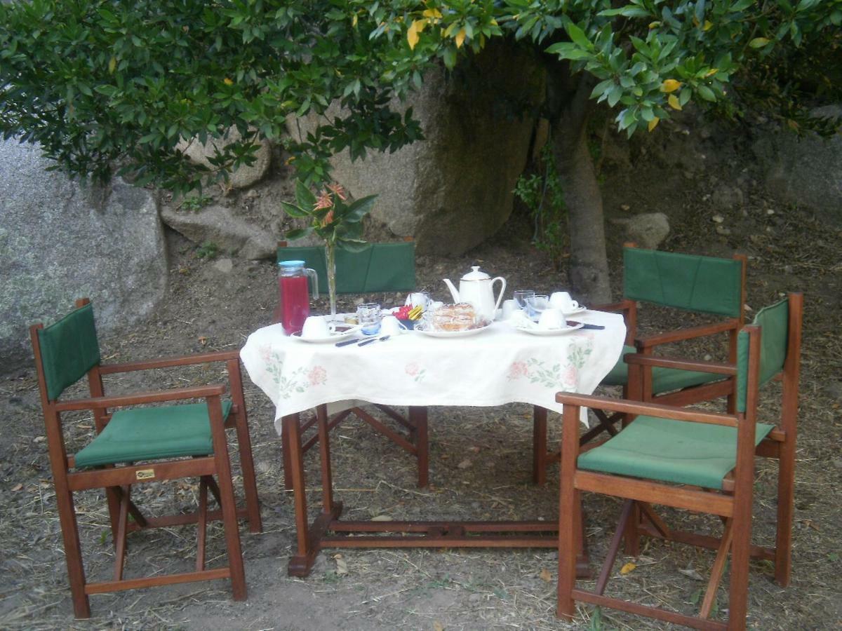 La Collina Dei Ciliegi Bed & Breakfast Sarule Eksteriør bilde